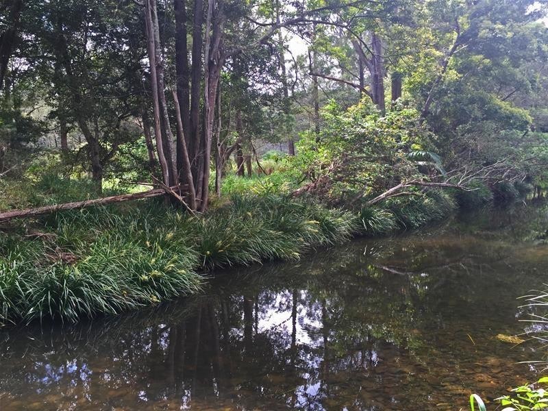 Mount Nathan QLD 4211