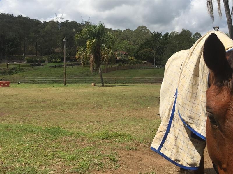 Mount Nathan QLD 4211