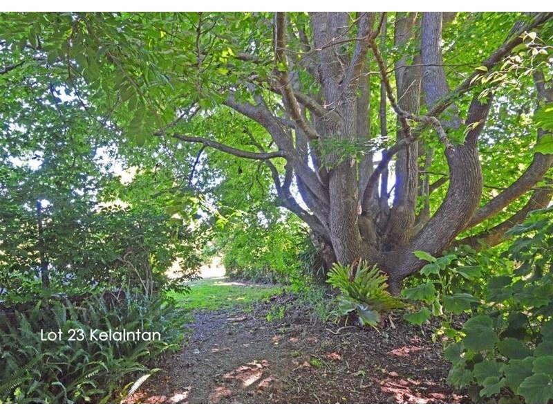 Tamborine Mountain QLD 4272