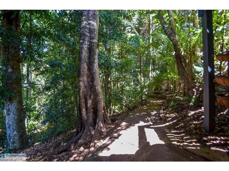105 Licuala Drive, Tamborine Mountain QLD 4272