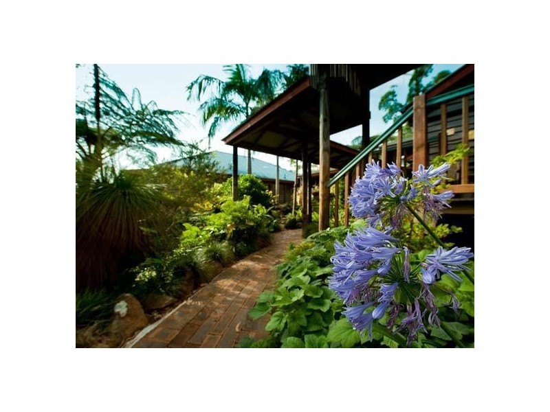 19-23 Witherby Cr, Tamborine Mountain QLD 4272