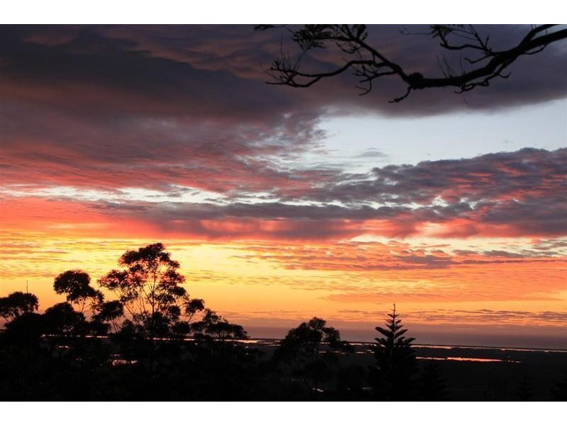 19-23 Witherby Cr, Tamborine Mountain QLD 4272