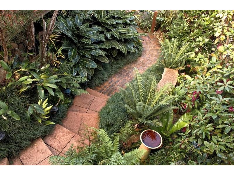 19-23 Witherby Cr, Tamborine Mountain QLD 4272