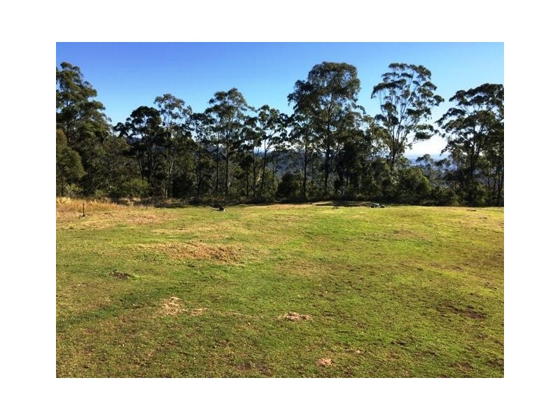 Tamborine Mountain QLD 4272