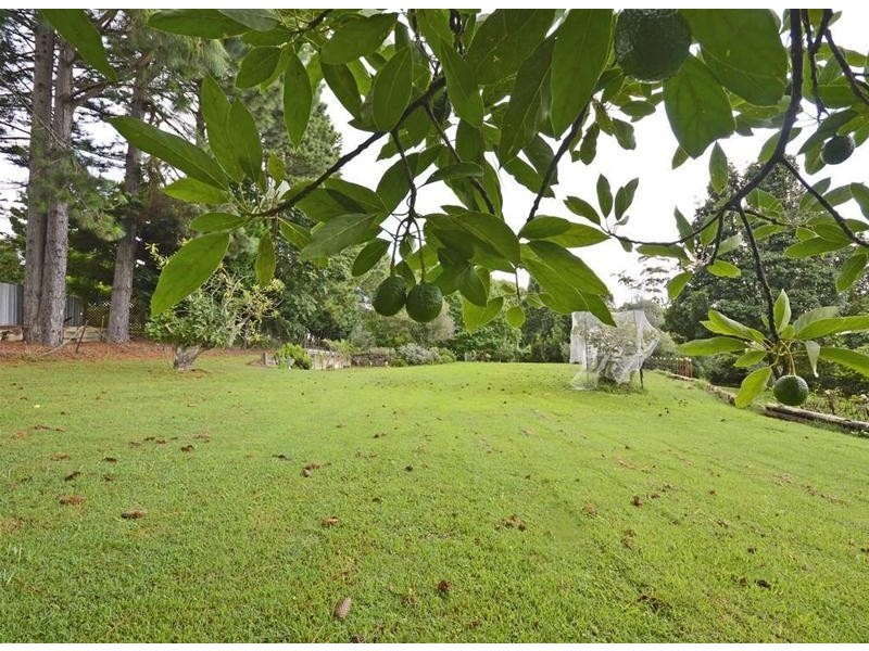 17 Manika Court, Tamborine Mountain QLD 4272