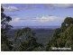 Tamborine Mountain QLD 4272