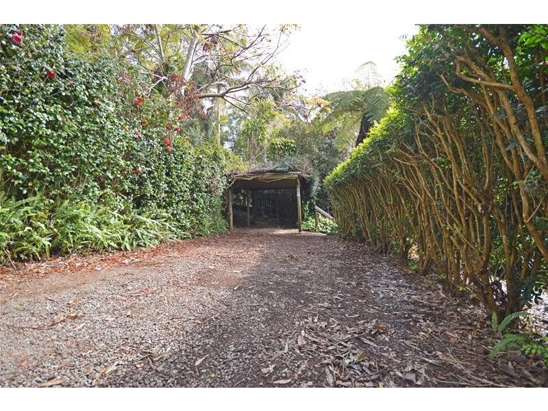 Tamborine Mountain QLD 4272