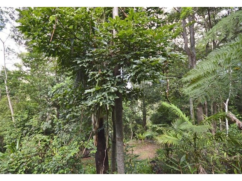 29 Long Road, Tamborine Mountain QLD 4272