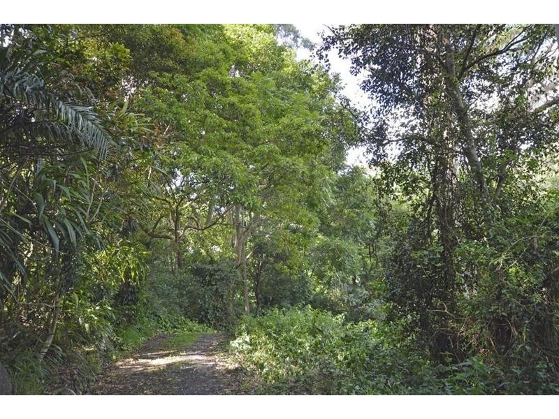 29 Long Road, Tamborine Mountain QLD 4272