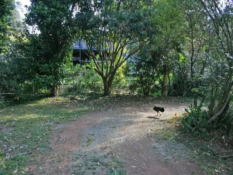 21 Dapsang Drive, North Tamborine QLD 4272
