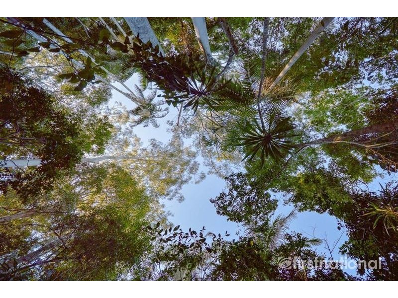 101-103 Licuala Drive, Tamborine Mountain QLD 4272