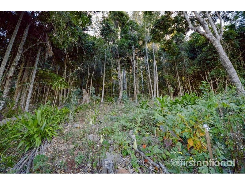 101-103 Licuala Drive, Tamborine Mountain QLD 4272