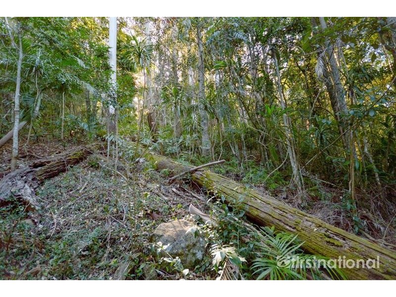 101-103 Licuala Drive, Tamborine Mountain QLD 4272