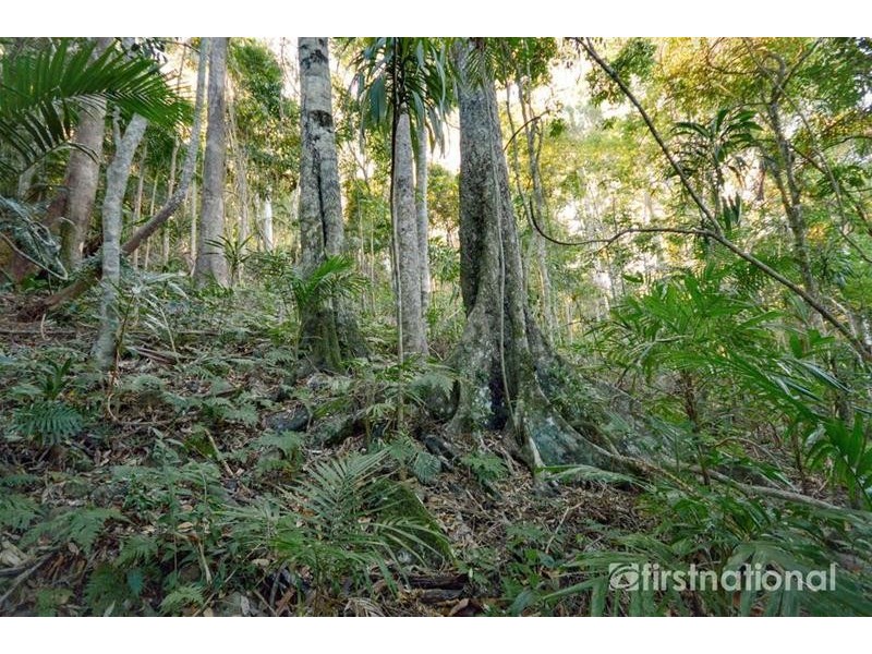 101-103 Licuala Drive, Tamborine Mountain QLD 4272