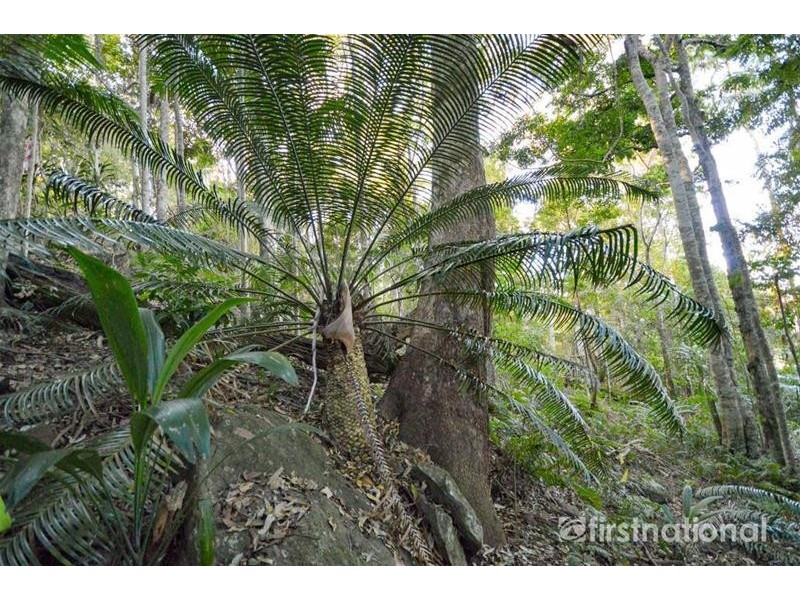 101-103 Licuala Drive, Tamborine Mountain QLD 4272