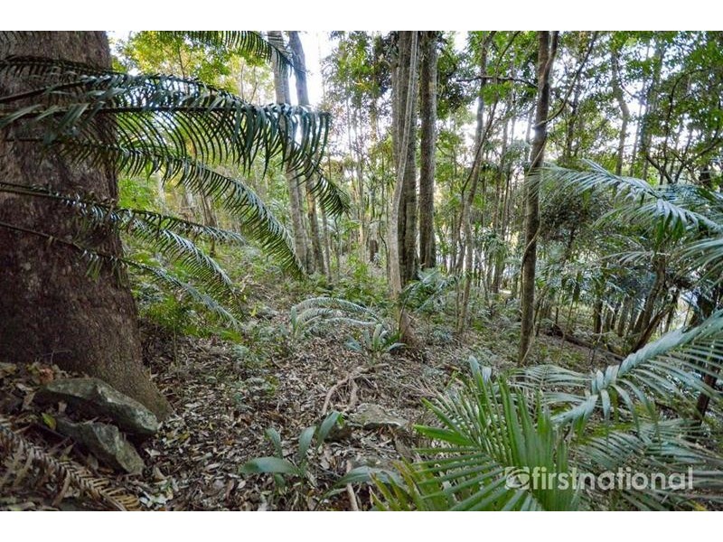 101-103 Licuala Drive, Tamborine Mountain QLD 4272