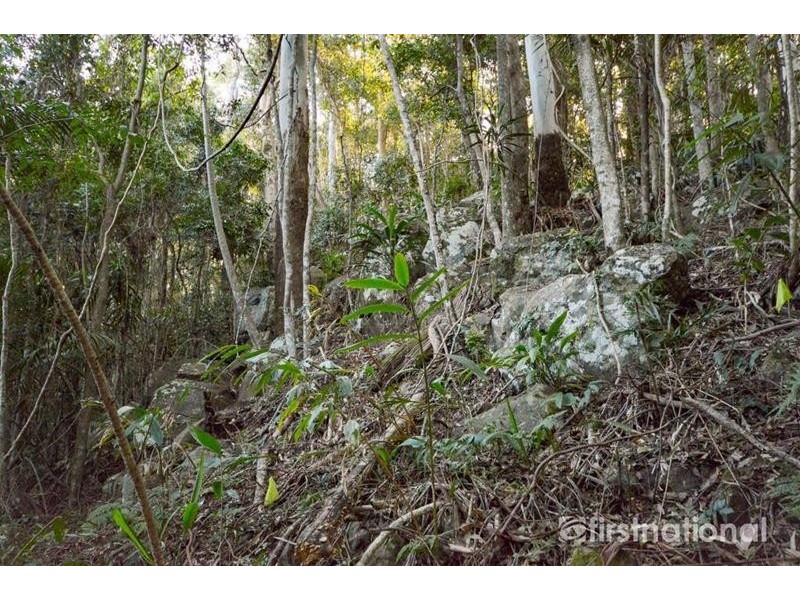 101-103 Licuala Drive, Tamborine Mountain QLD 4272