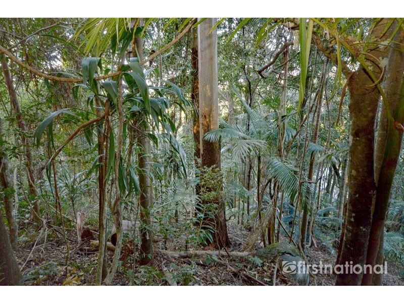 101-103 Licuala Drive, Tamborine Mountain QLD 4272