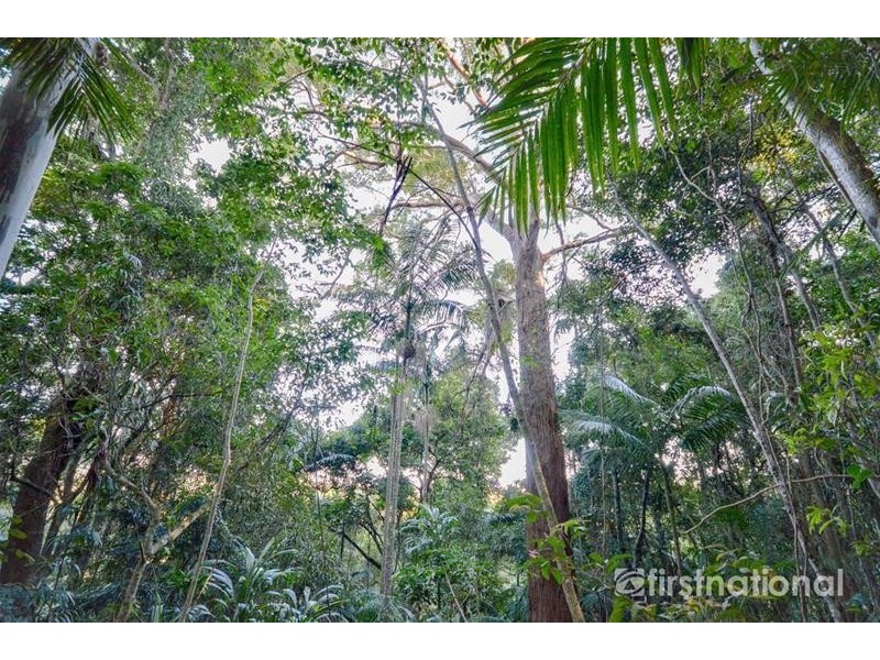 101-103 Licuala Drive, Tamborine Mountain QLD 4272