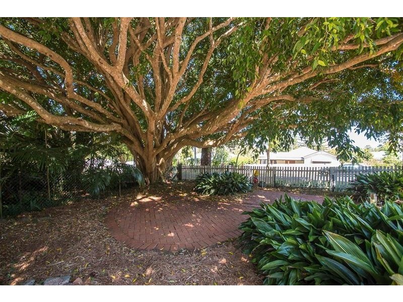 8 Beechmont Avenue, Tamborine Mountain QLD 4272