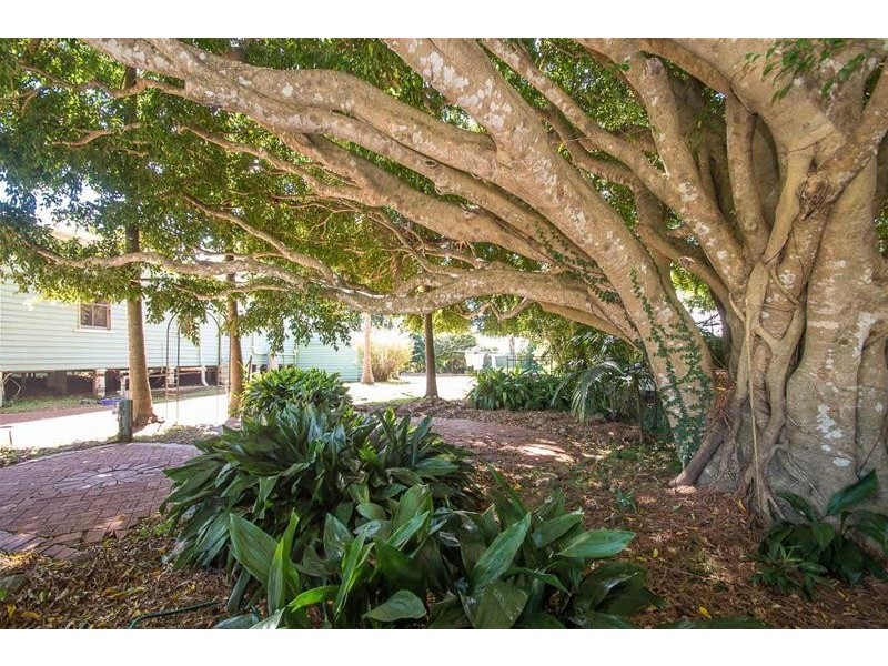 8 Beechmont Avenue, Tamborine Mountain QLD 4272