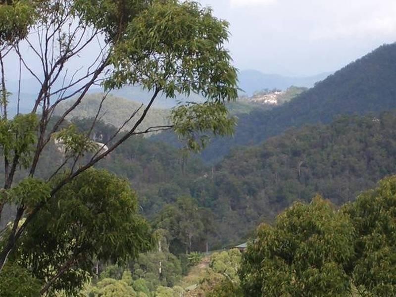 Tamborine Mountain QLD 4272