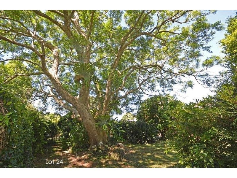 Lot 24/ 130 Curtis Road, Tamborine Mountain QLD 4272