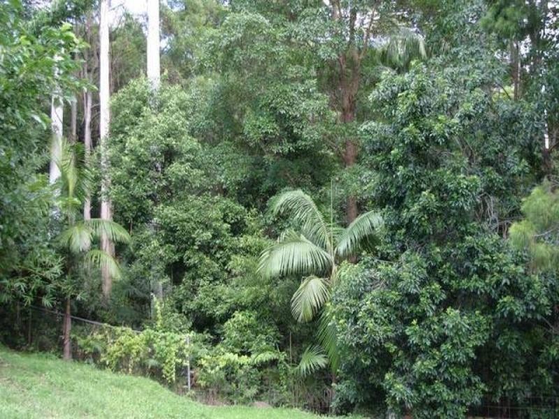 Eagle Heights QLD 4271