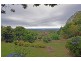 31 Cliff Way, Tamborine Mountain QLD 4272