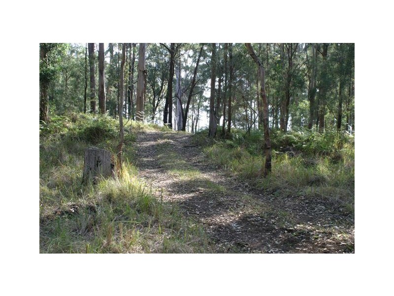 9/905 Tamborine Mountain Road, Tamborine Mountain QLD 4272