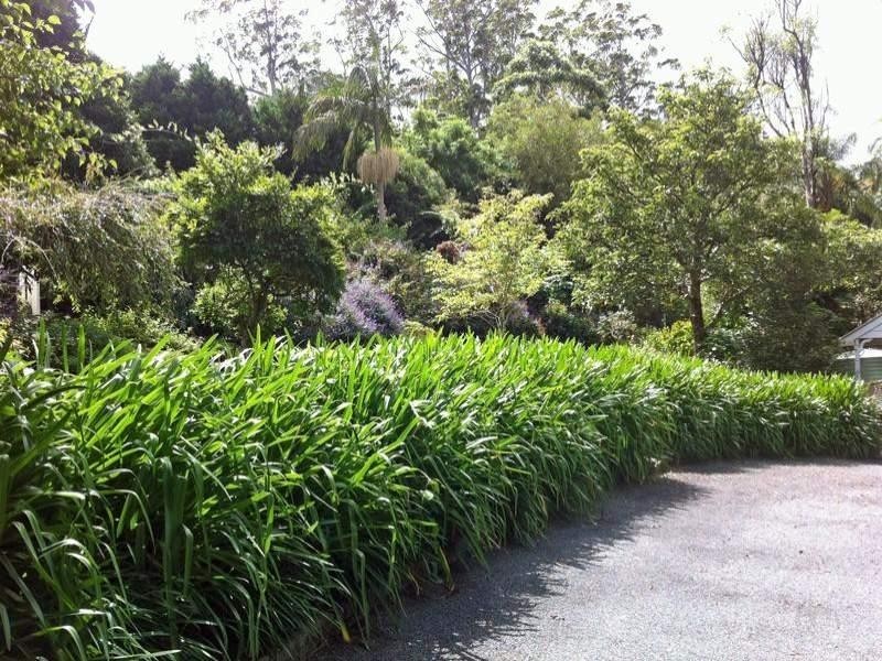 Tamborine Mountain QLD 4272