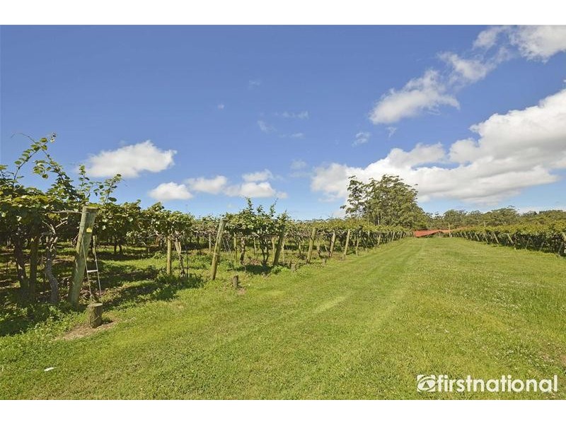 47 Kootenai Drive, Tamborine Mountain QLD 4272