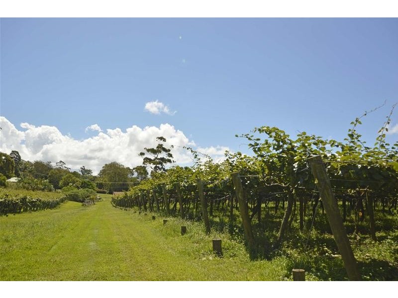 47 Kootenai Drive, Tamborine Mountain QLD 4272