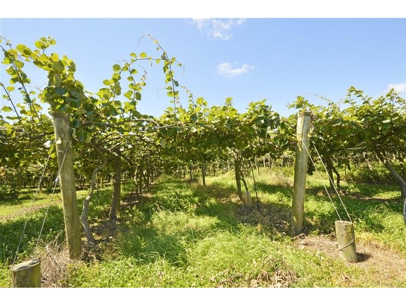 47 Kootenai Drive, Tamborine Mountain QLD 4272