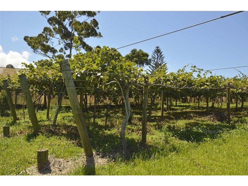 47 Kootenai Drive, Tamborine Mountain QLD 4272