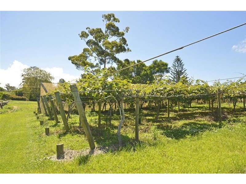 47 Kootenai Drive, Tamborine Mountain QLD 4272