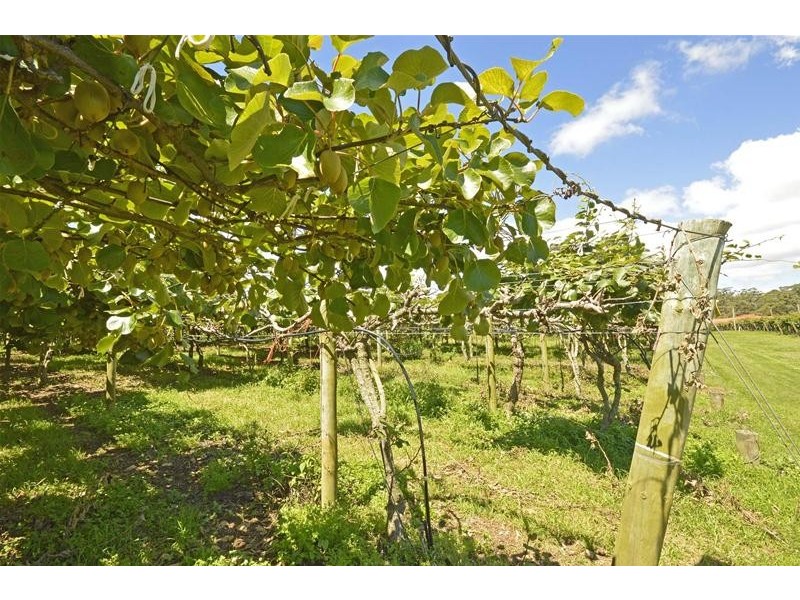 47 Kootenai Drive, Tamborine Mountain QLD 4272