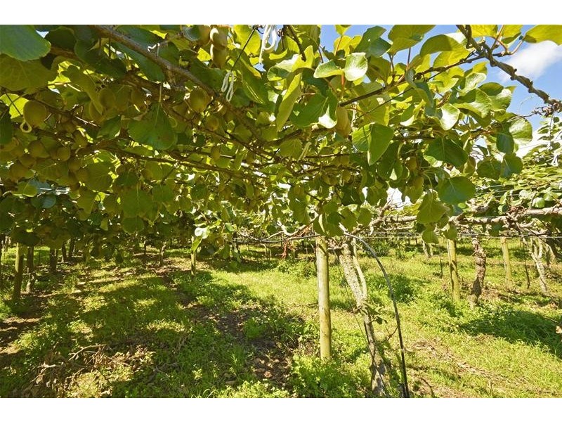 47 Kootenai Drive, Tamborine Mountain QLD 4272