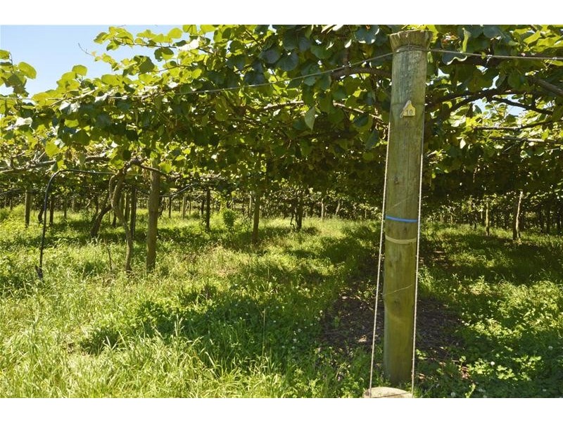 47 Kootenai Drive, Tamborine Mountain QLD 4272