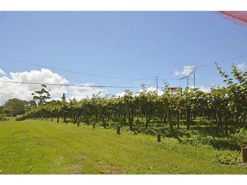 47 Kootenai Drive, Tamborine Mountain QLD 4272