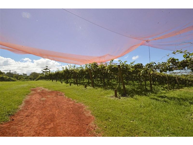 47 Kootenai Drive, Tamborine Mountain QLD 4272