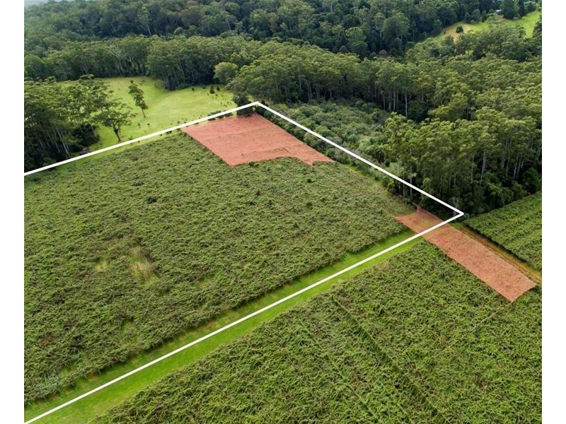 47 Kootenai Drive, Tamborine Mountain QLD 4272