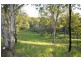 145 Murray Grey Drive, Tamborine QLD 4270