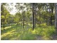 145 Murray Grey Drive, Tamborine QLD 4270
