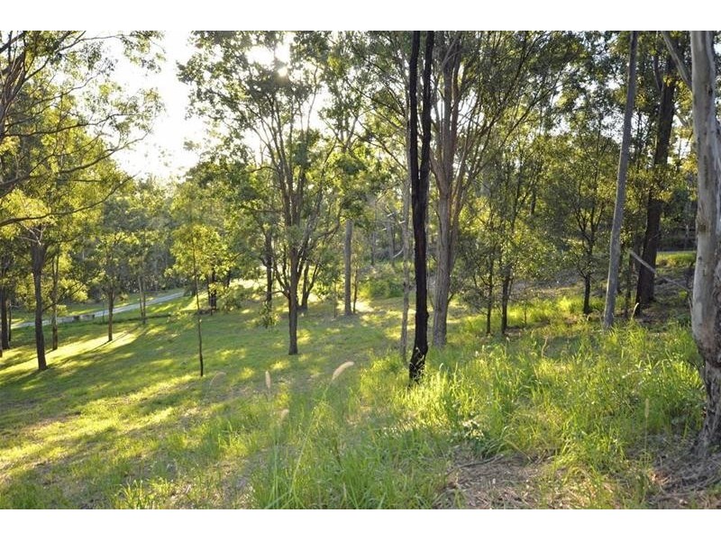 145 Murray Grey Drive, Tamborine QLD 4270