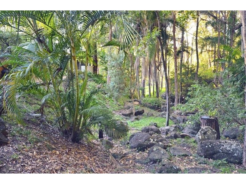 145 Murray Grey Drive, Tamborine QLD 4270