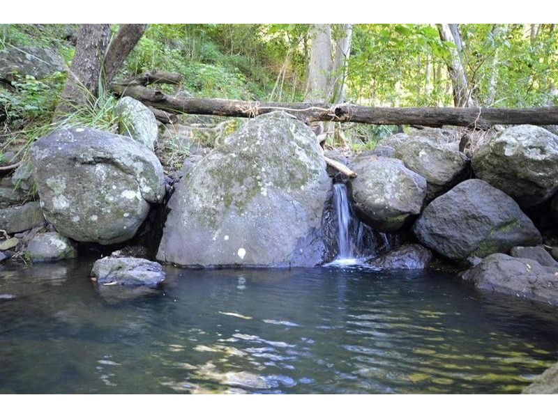 145 Murray Grey Drive, Tamborine QLD 4270