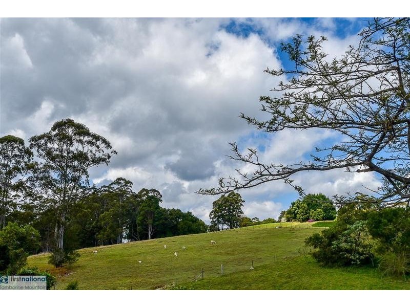 22 Munro Court, Tamborine Mountain QLD 4272