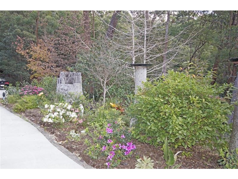 Tamborine Mountain QLD 4272