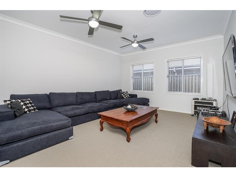 151 Bolwarra Park Drive, Bolwarra Heights NSW 2320